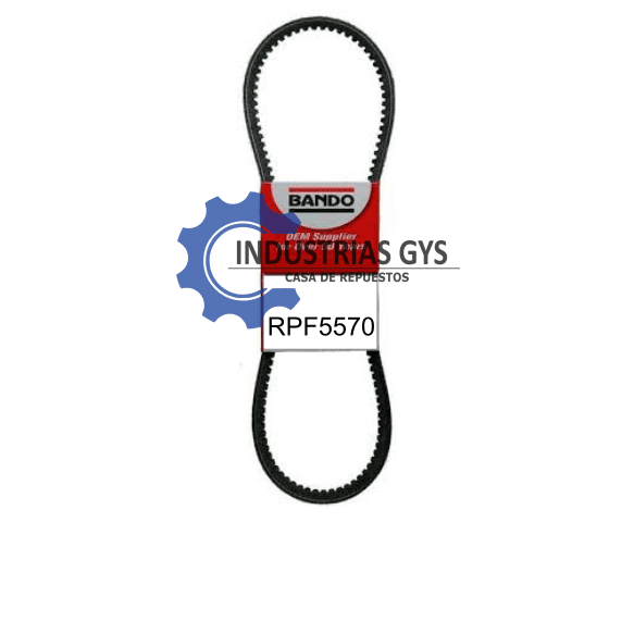 CORREA DENTADA 5/8 BX-55
